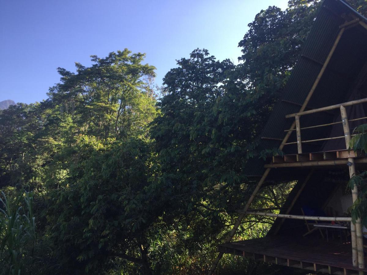 Glamping El Arbol En La Casa Villa San Antonio del Tequendama Buitenkant foto