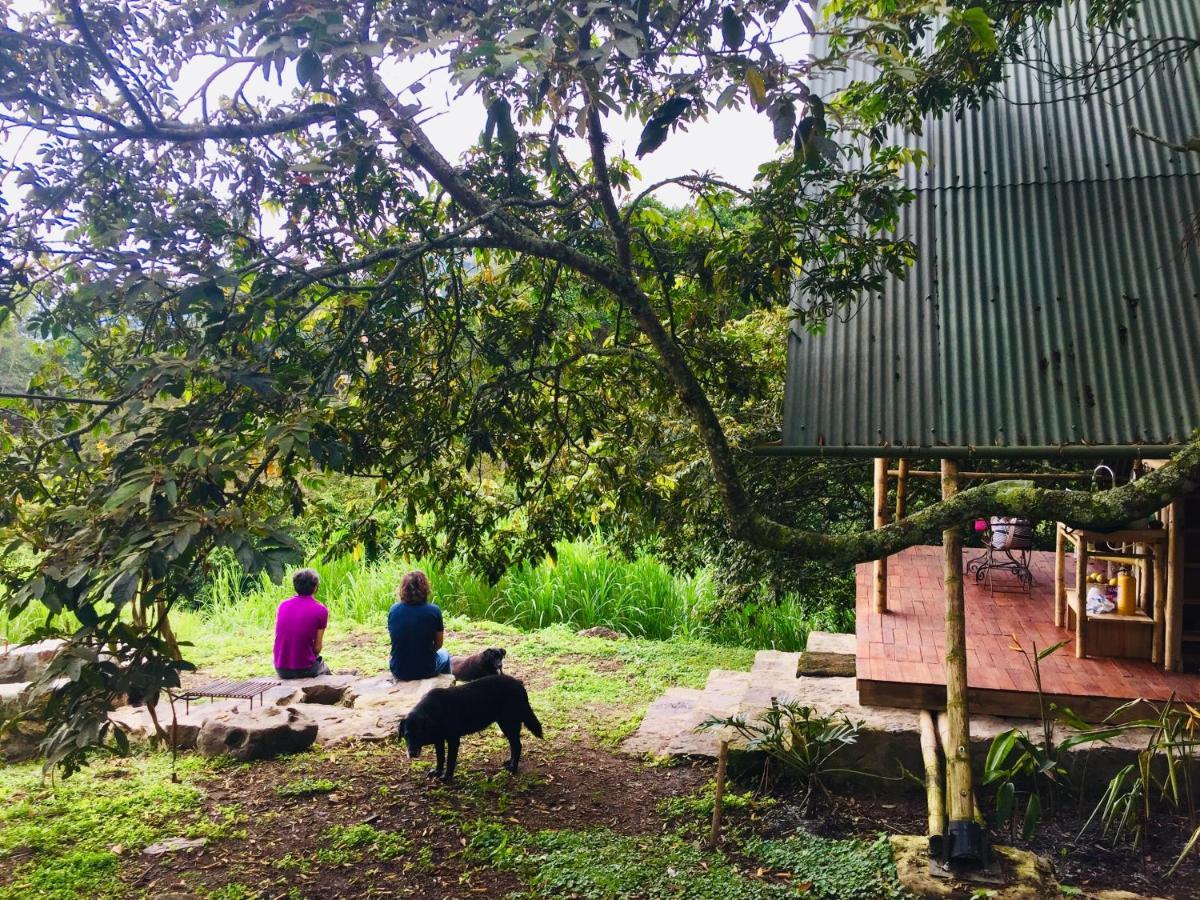 Glamping El Arbol En La Casa Villa San Antonio del Tequendama Buitenkant foto