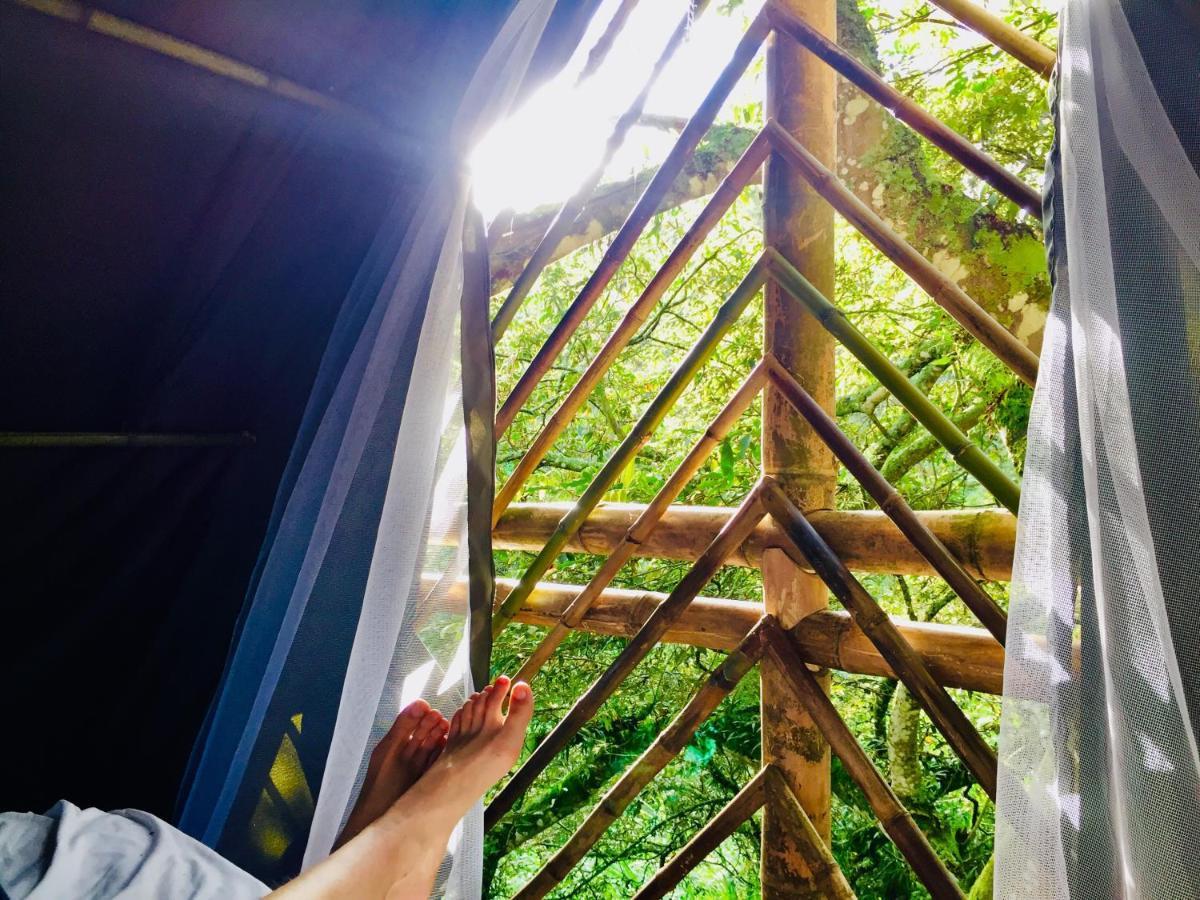 Glamping El Arbol En La Casa Villa San Antonio del Tequendama Buitenkant foto