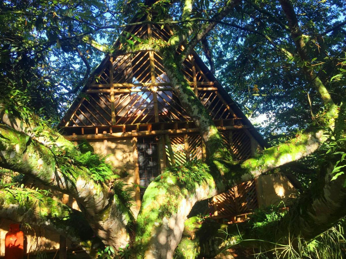 Glamping El Arbol En La Casa Villa San Antonio del Tequendama Buitenkant foto