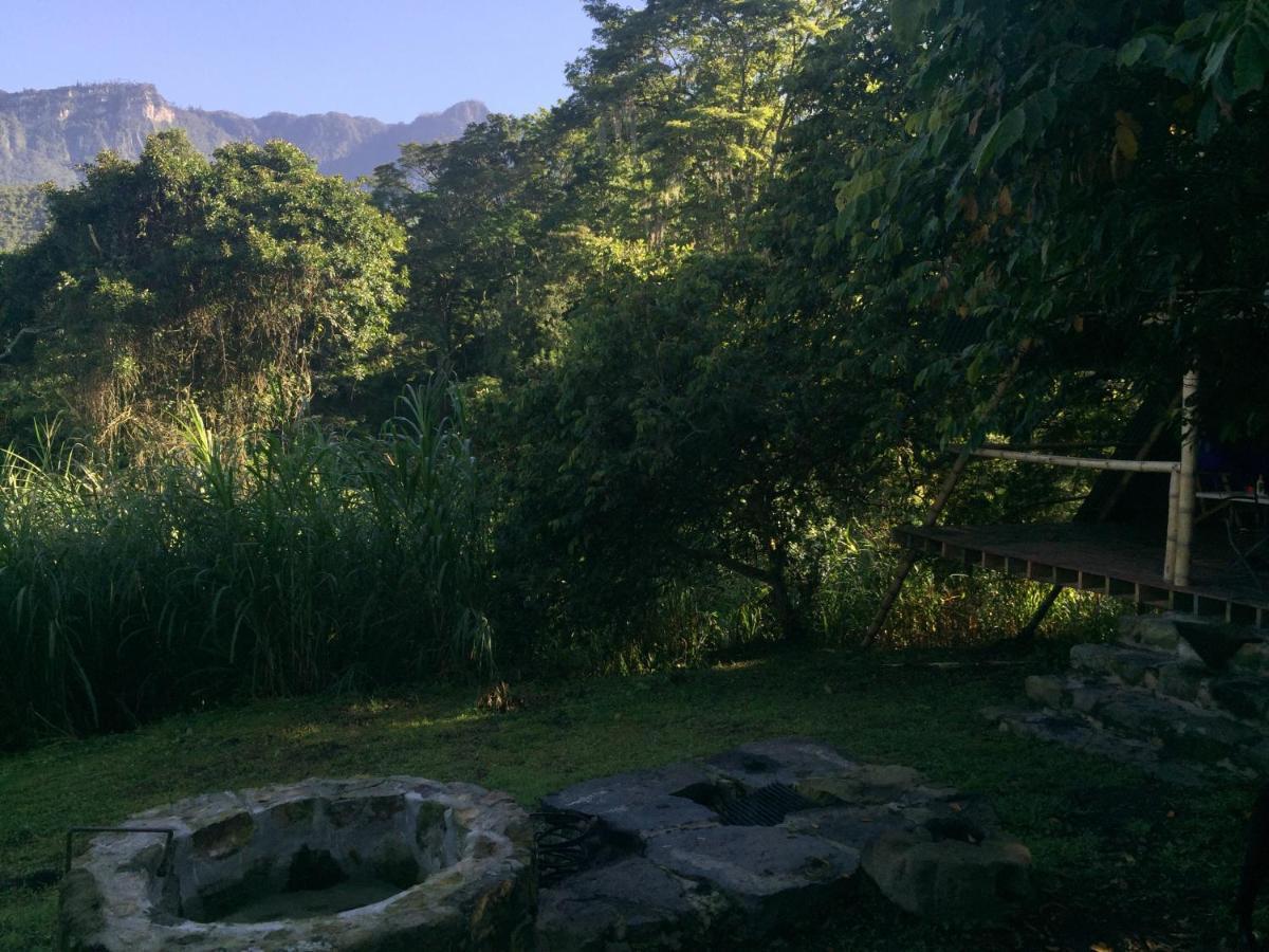 Glamping El Arbol En La Casa Villa San Antonio del Tequendama Buitenkant foto