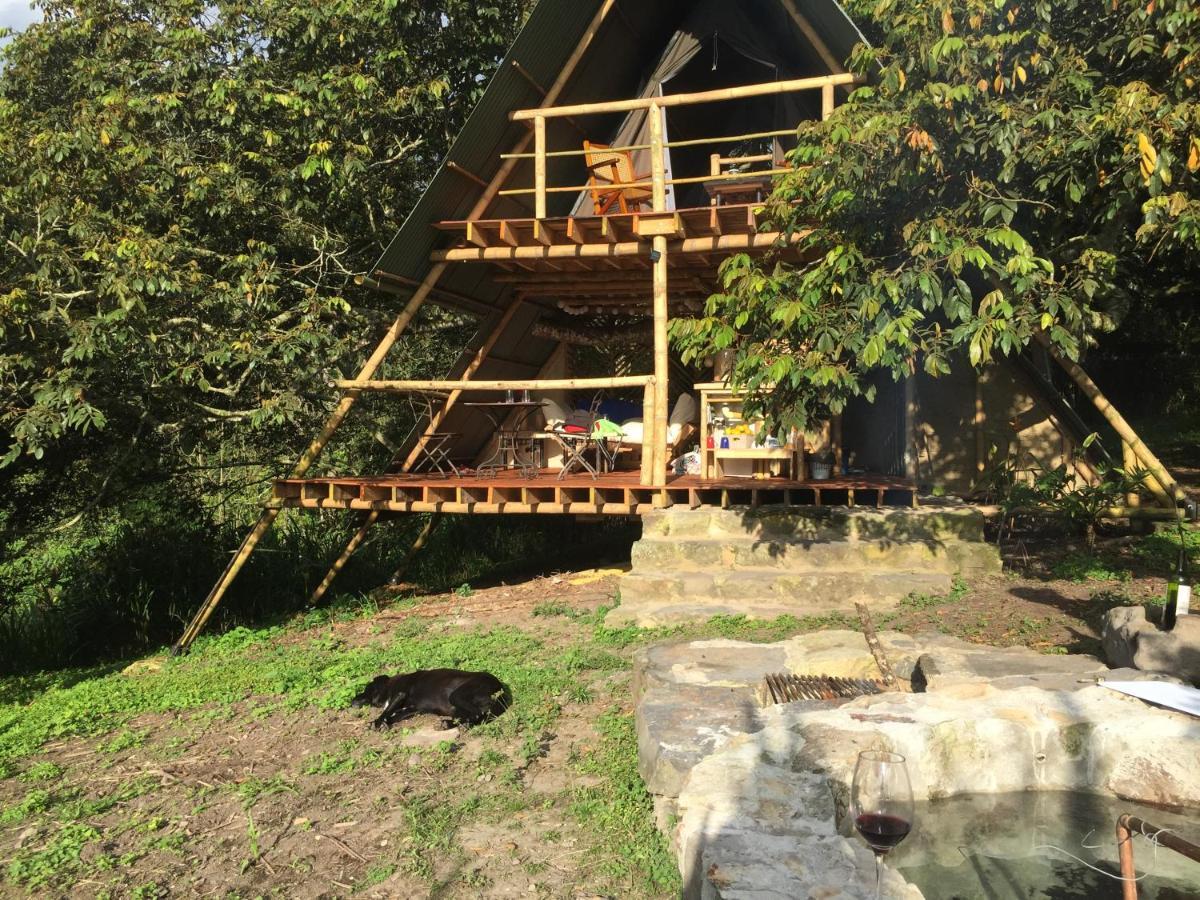 Glamping El Arbol En La Casa Villa San Antonio del Tequendama Buitenkant foto