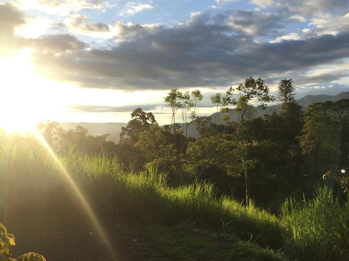 Glamping El Arbol En La Casa Villa San Antonio del Tequendama Buitenkant foto