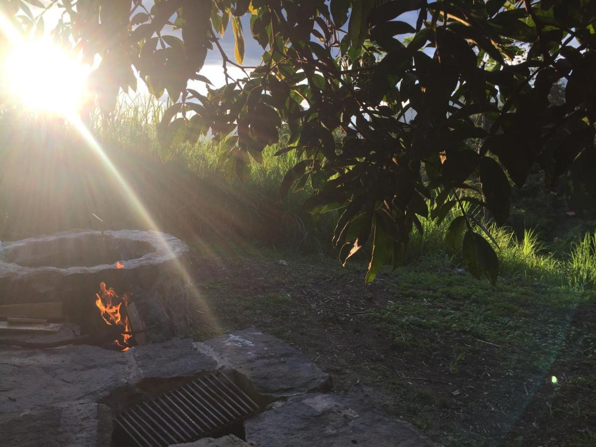 Glamping El Arbol En La Casa Villa San Antonio del Tequendama Buitenkant foto