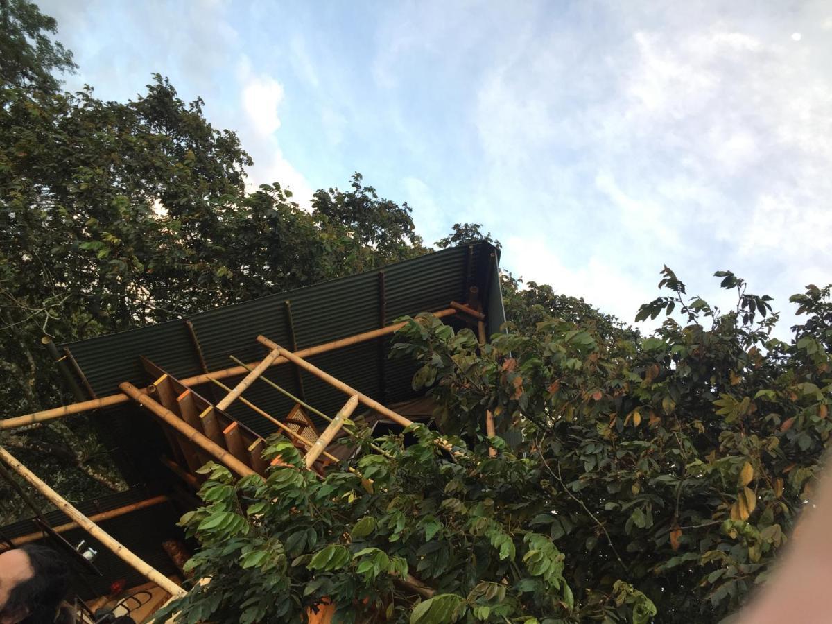 Glamping El Arbol En La Casa Villa San Antonio del Tequendama Buitenkant foto