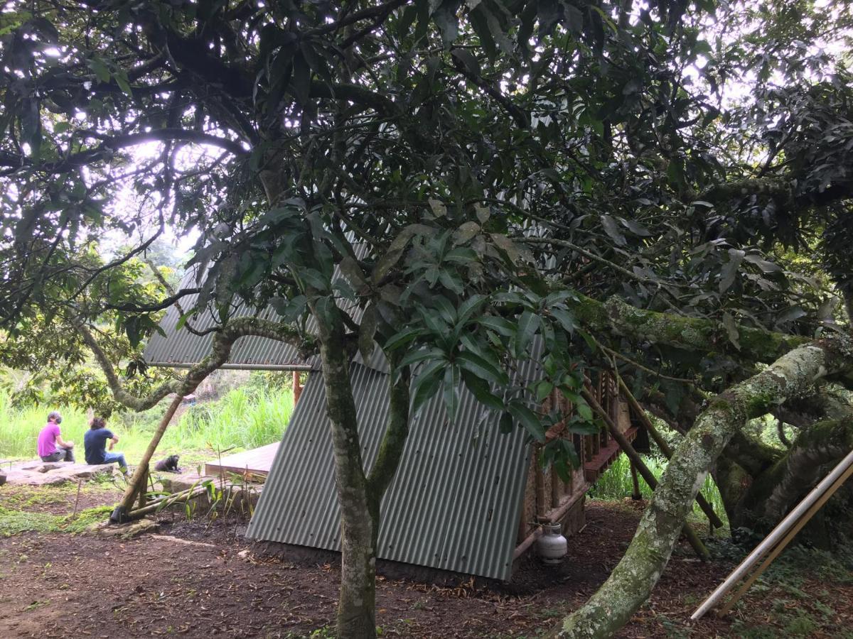 Glamping El Arbol En La Casa Villa San Antonio del Tequendama Buitenkant foto